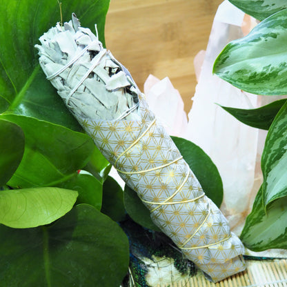 White Sage Smudging Wand (L) - Shakti