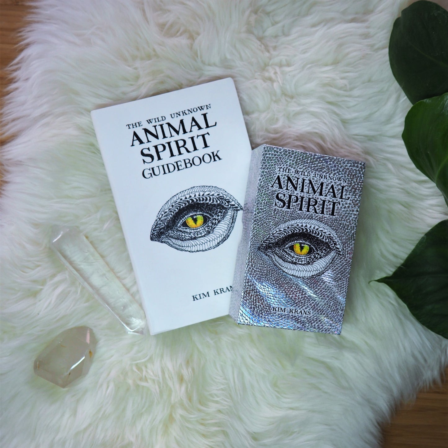 The Wild Unknown Animal Spirit Deck & Guidebook - Shakti