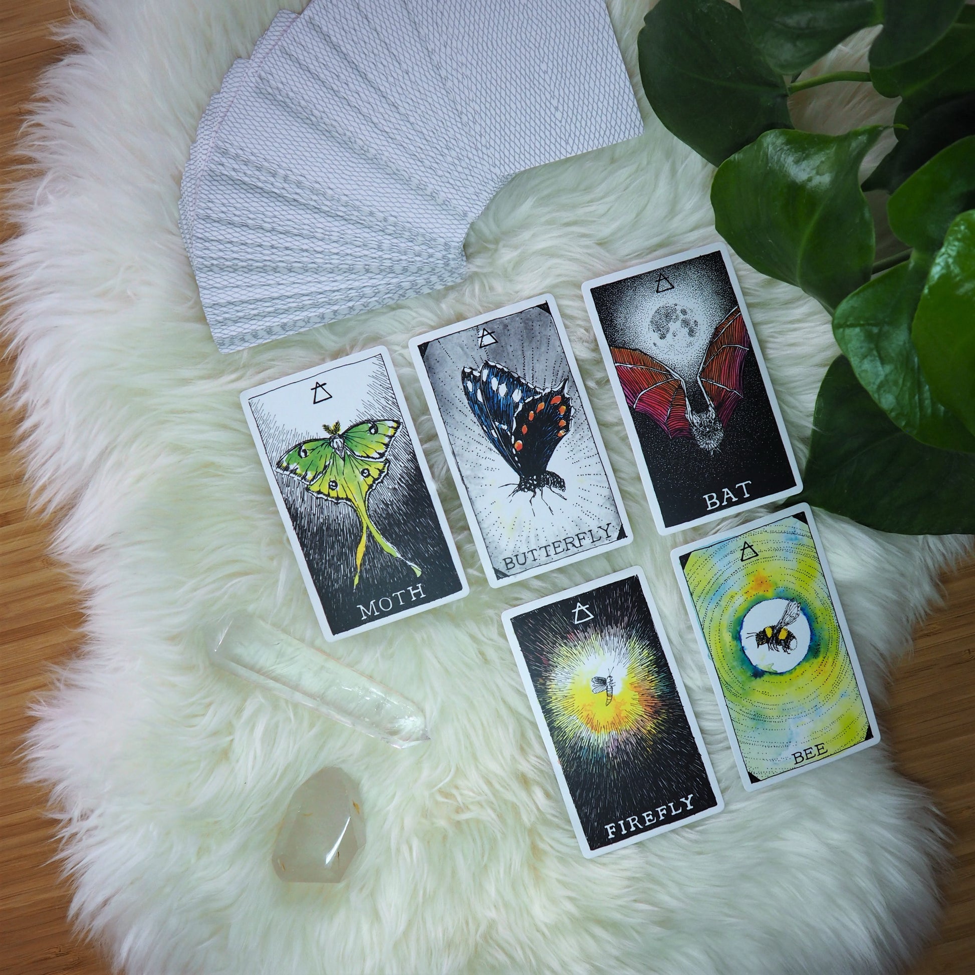 The Wild Unknown Animal Spirit Deck & Guidebook - Shakti