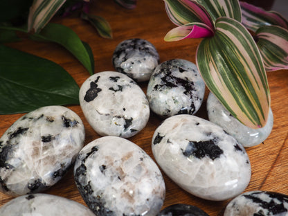 Rainbow Moonstone Palm Stones - Shakti