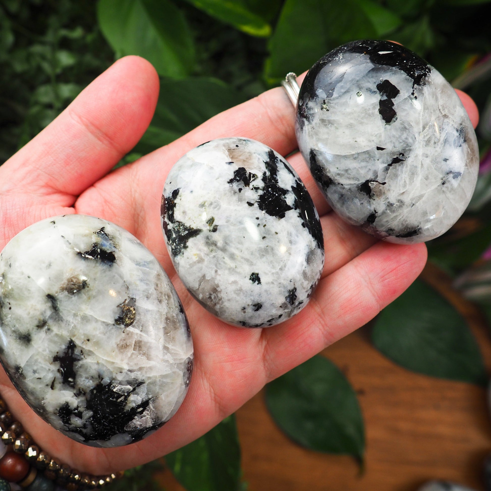 Rainbow Moonstone Palm Stones - Shakti