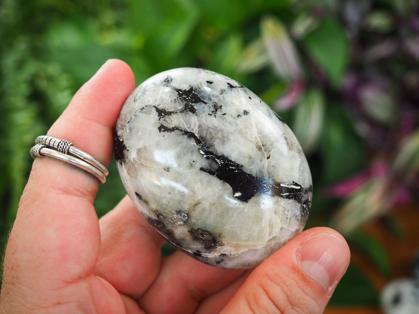 Rainbow Moonstone Palm Stones - Shakti