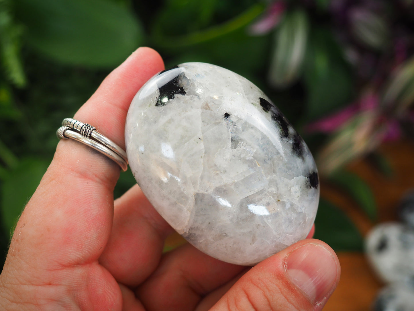 Rainbow Moonstone Palm Stones - Shakti