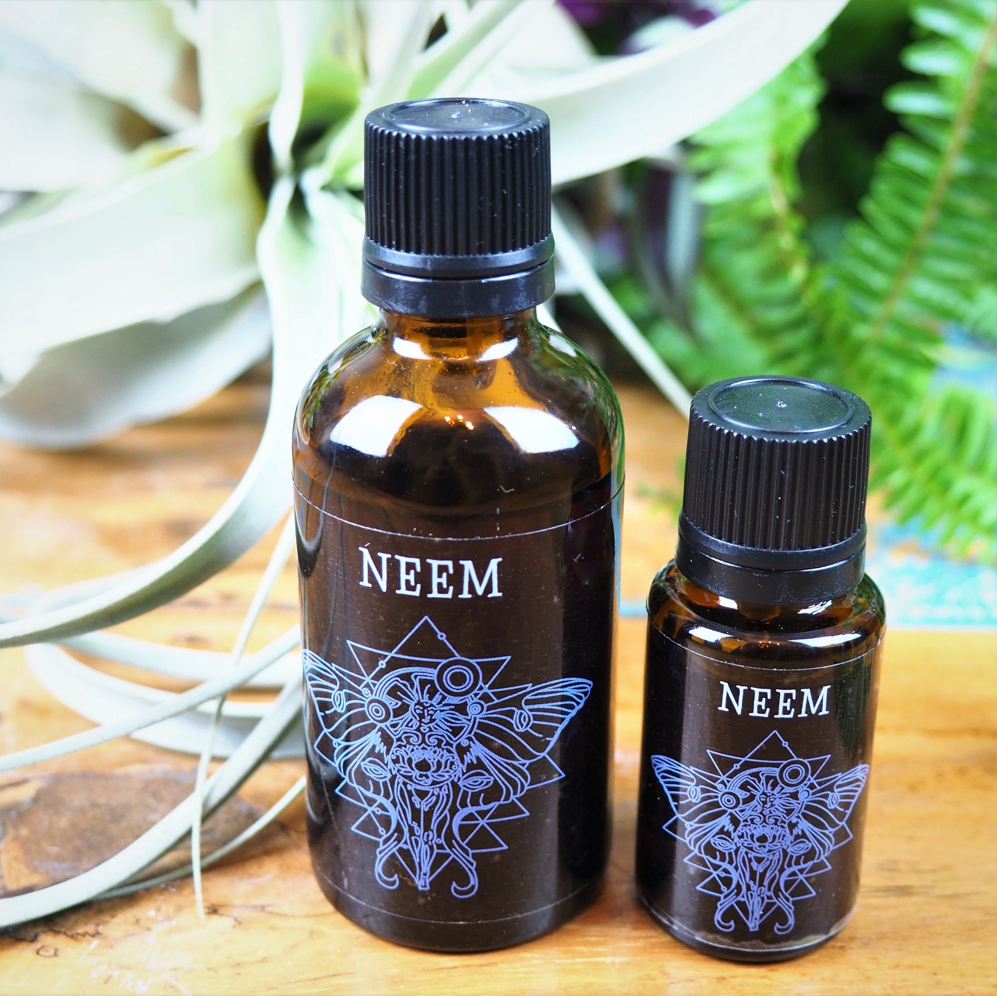 Neem Essential Oil - Shakti