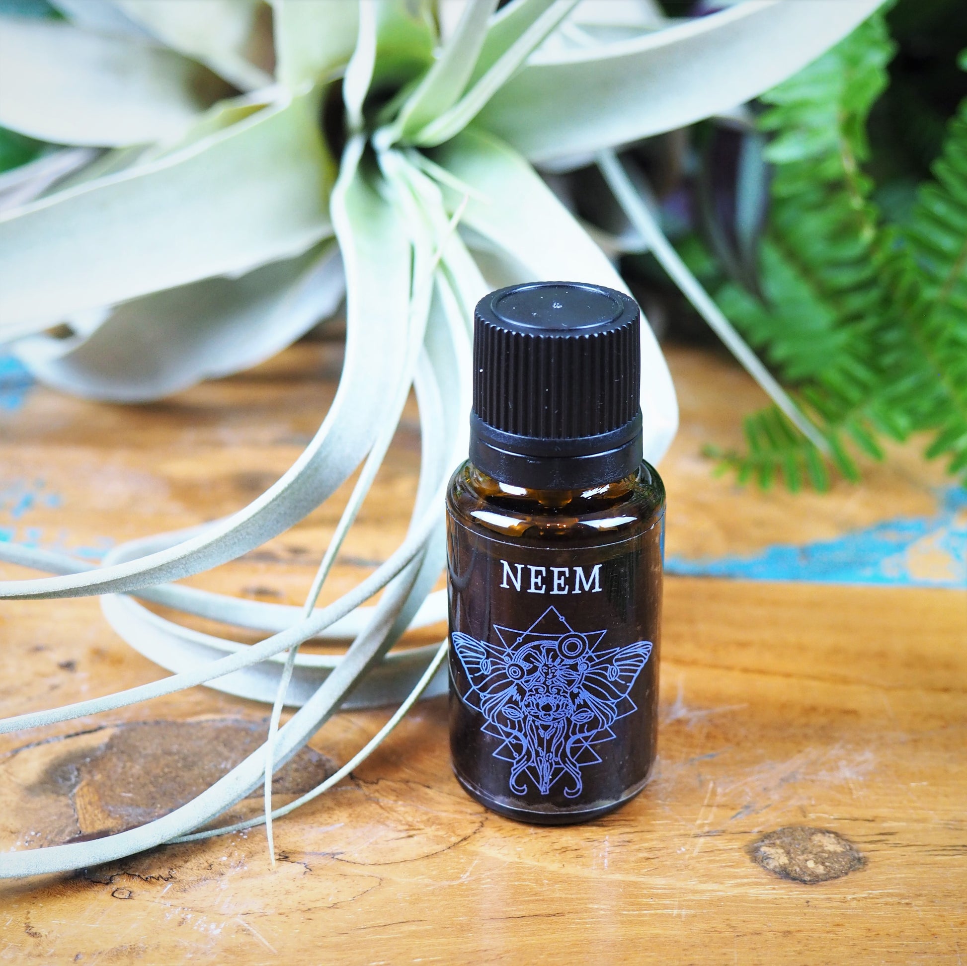 Neem Essential Oil - Shakti