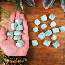 Load image into Gallery viewer, Amazonite Tumble Stones

