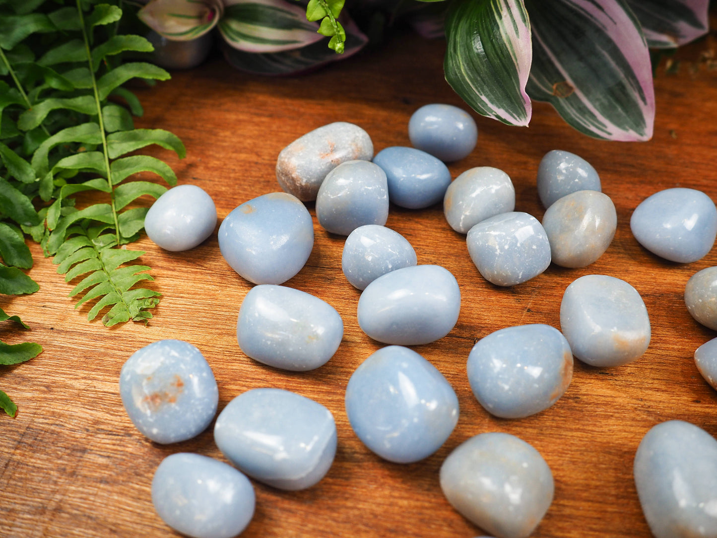 Angelite Tumble Stones - Shakti