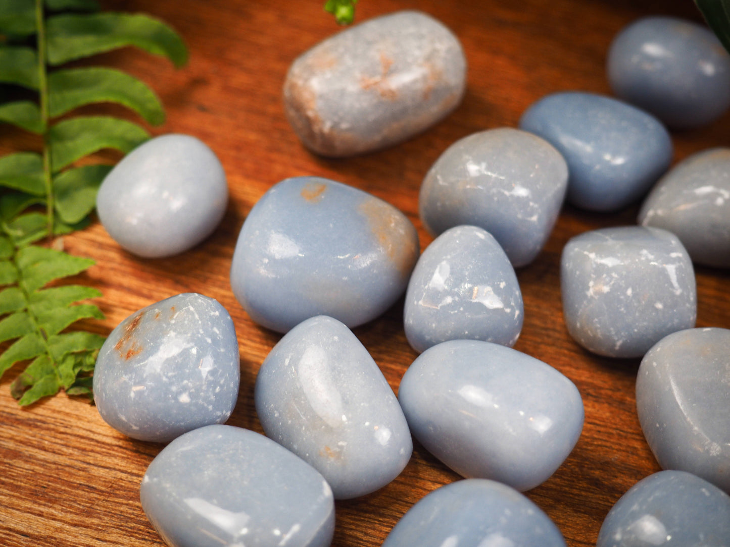 Angelite Tumble Stones - Shakti