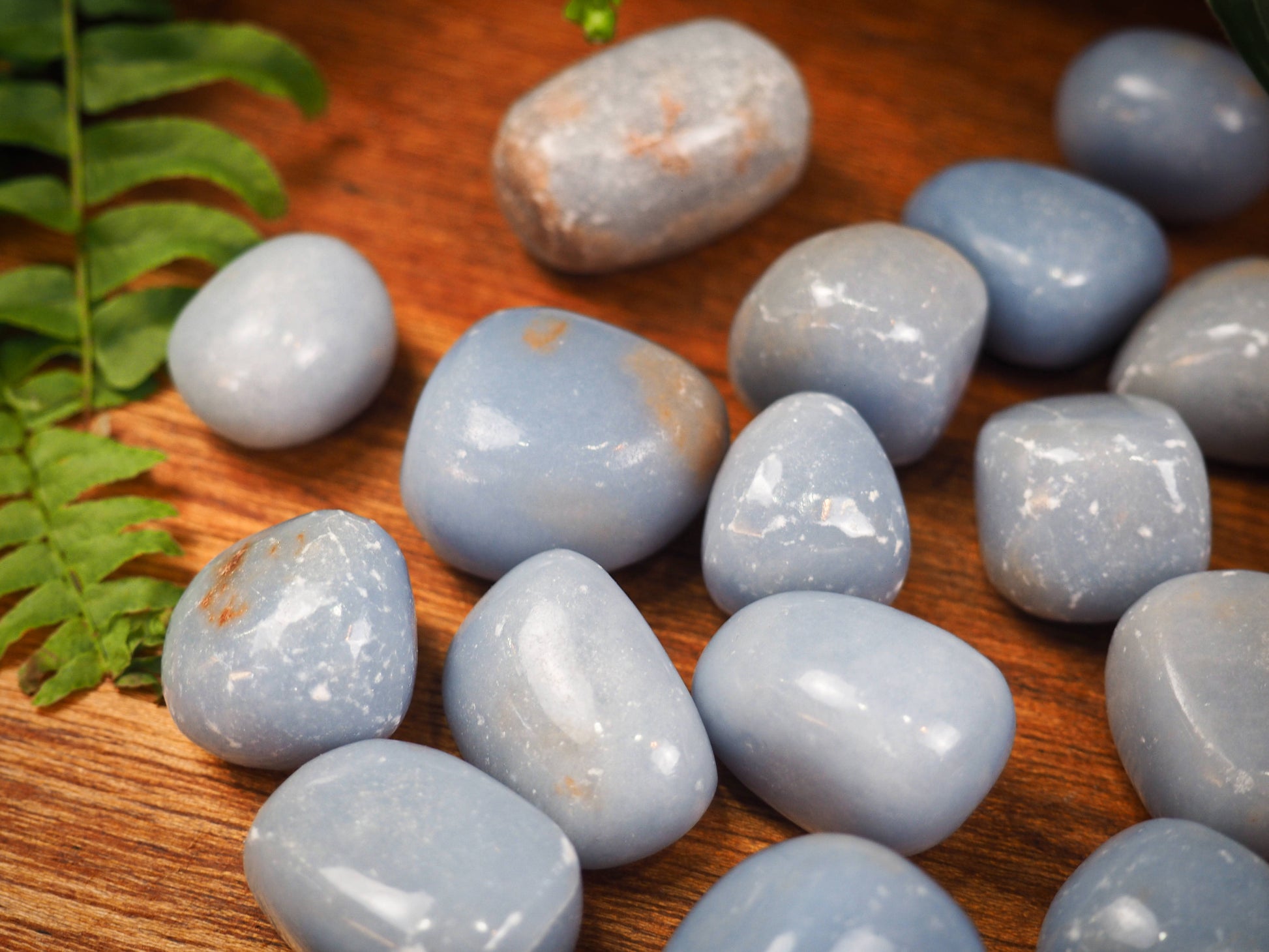 Angelite Tumble Stones - Shakti