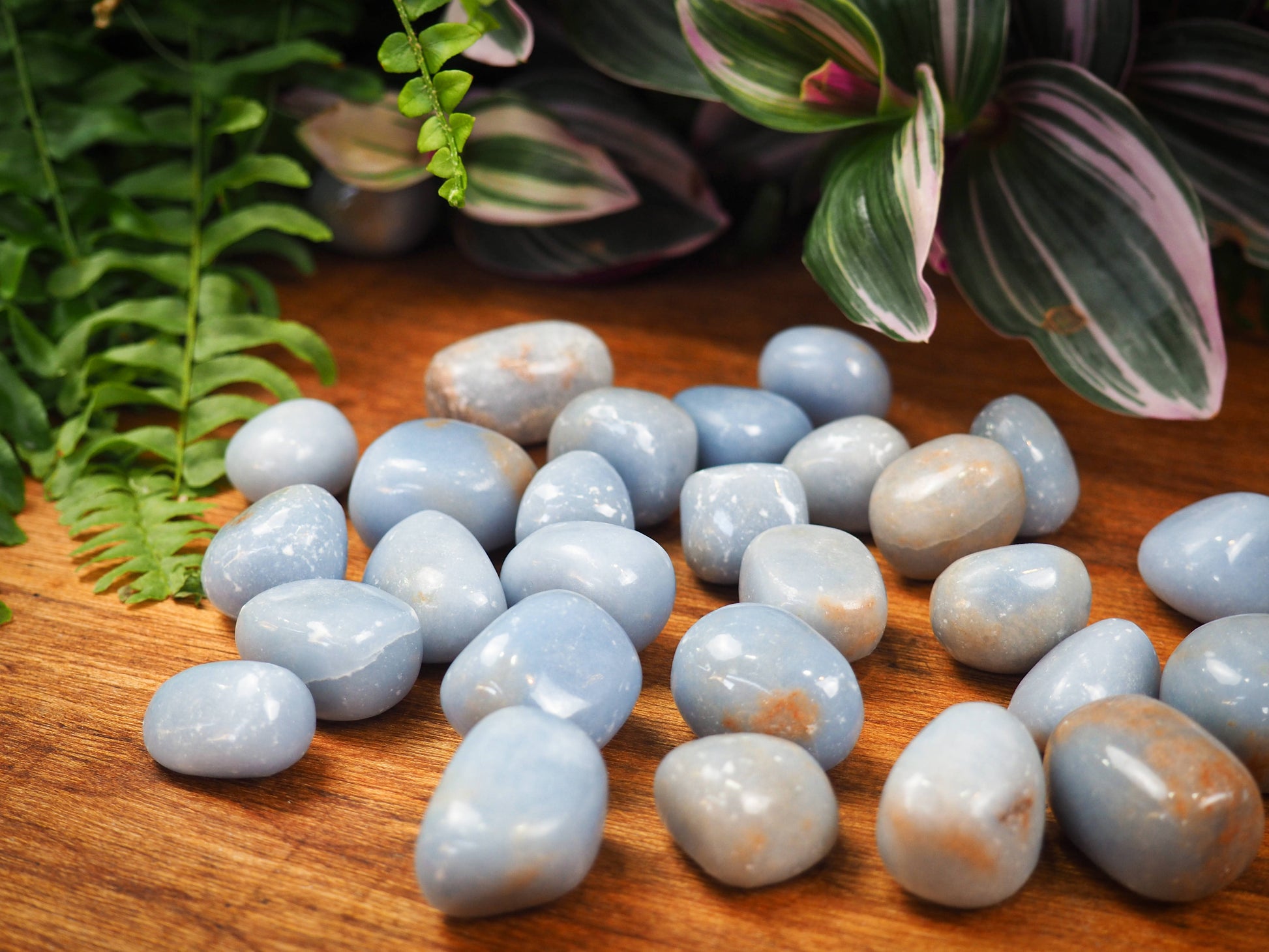 Angelite Tumble Stones - Shakti