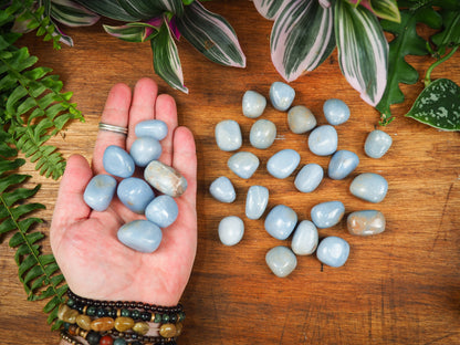 Angelite Tumble Stones - Shakti