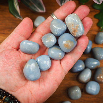 Angelite Tumble Stones - Shakti