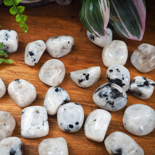 Rainbow Moonstone Tumble Stones - Shakti