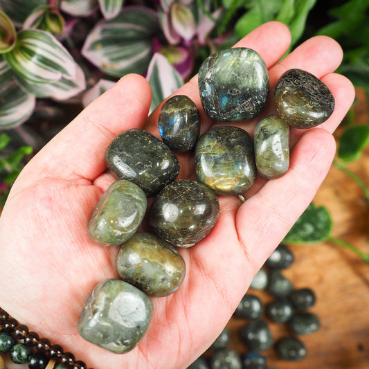 Labradorite Tumble Stones - Shakti