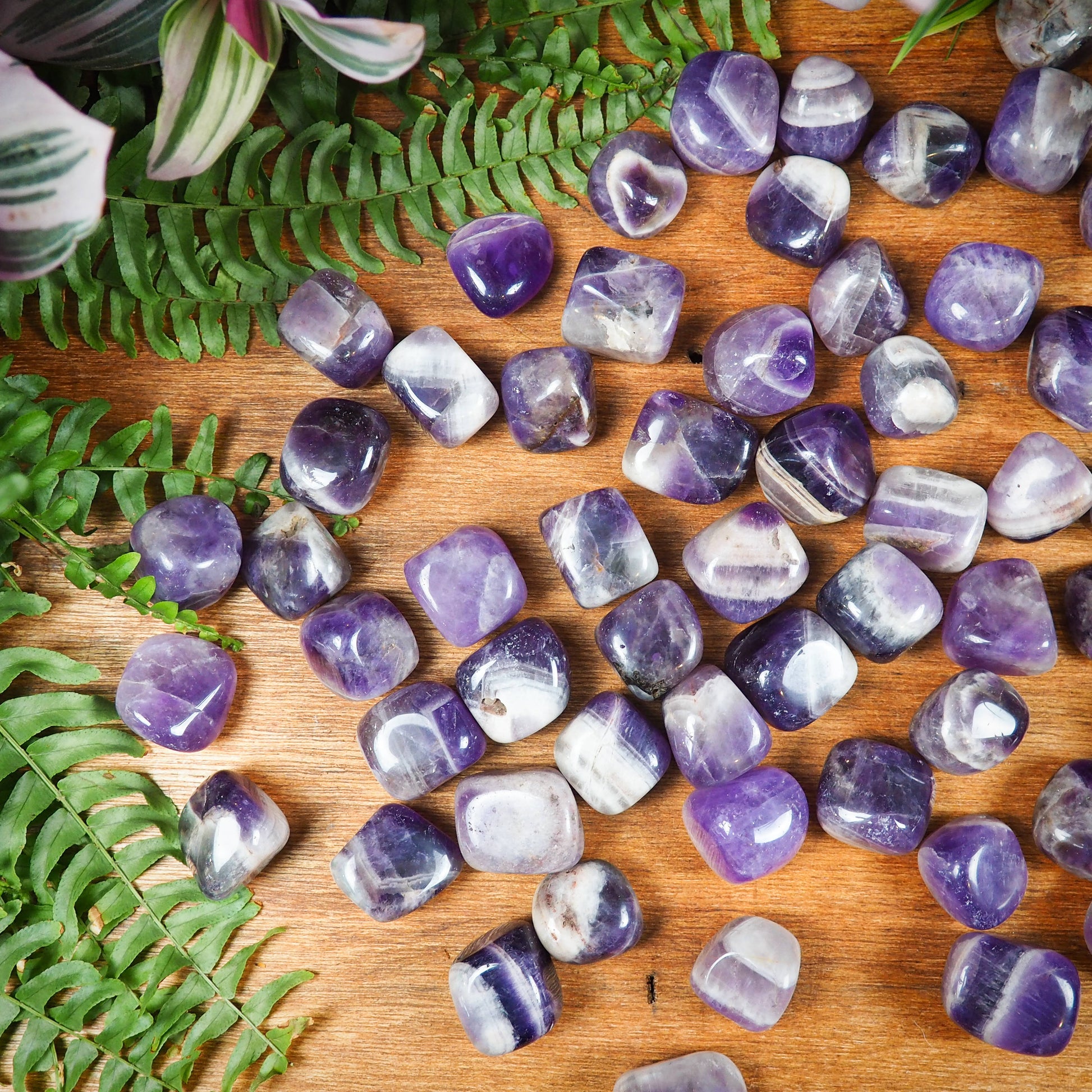 Chevron Amethyst Tumble Stones - Shakti