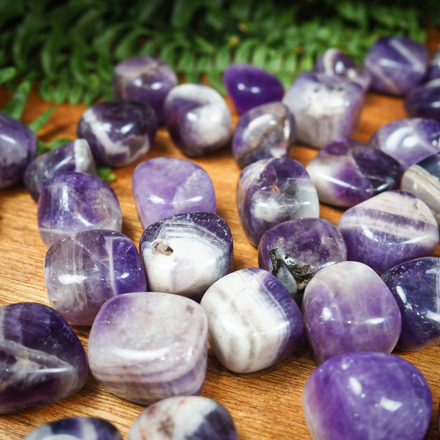 Chevron Amethyst Tumble Stones - Shakti