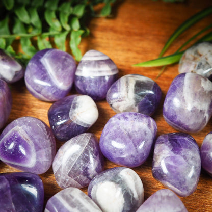 Chevron Amethyst Tumble Stones - Shakti