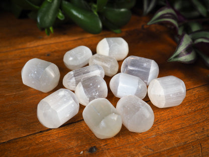 Selenite Tumble Stones - Shakti