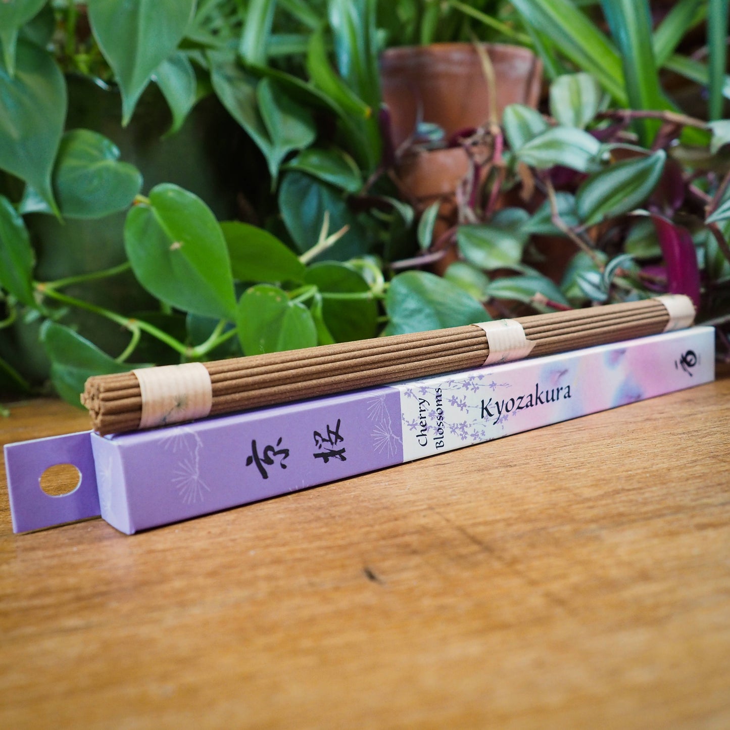 Japanese Incense: Cherry Blossoms | Kyozakura - Shakti