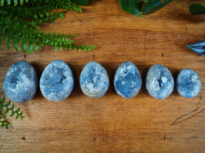 Celestite Eggs - Shakti