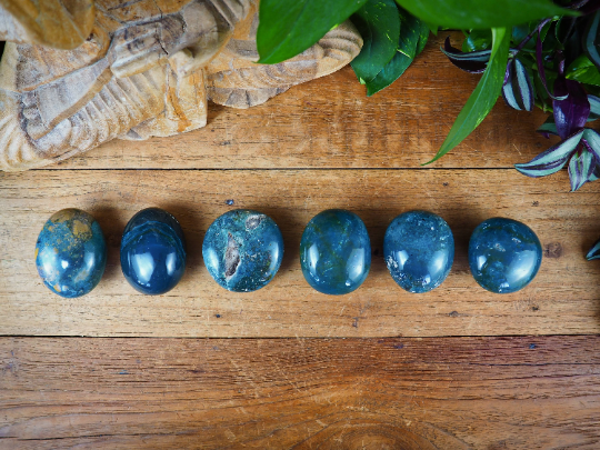 Ocean Jasper Palm Stones - Shakti