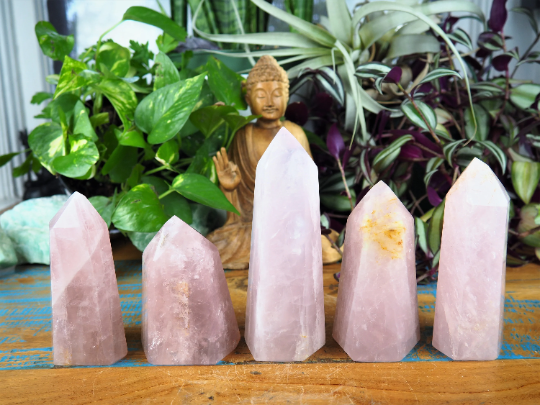 Rose Quartz Towers - Shakti