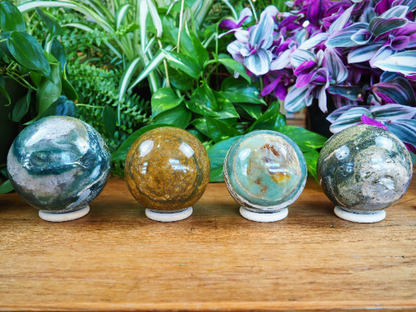 Ocean Jasper Spheres - Shakti