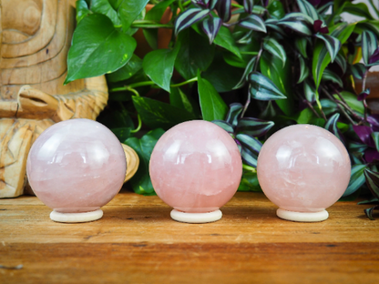 Rose Quartz Spheres - Shakti