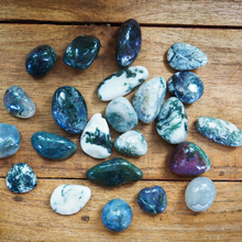Load image into Gallery viewer, Moss Agate Tumble Stones
