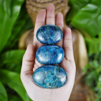 Apatite Palm Stones - Shakti