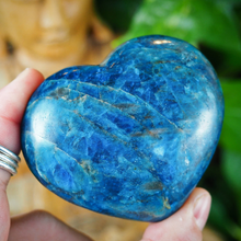 Load image into Gallery viewer, Apatite Hearts