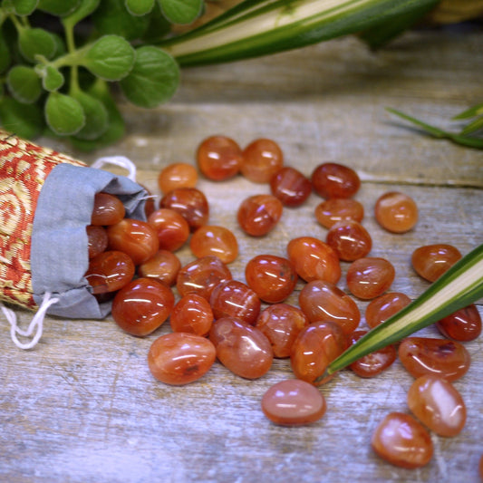 Carnelian Tumble Stones - Shakti