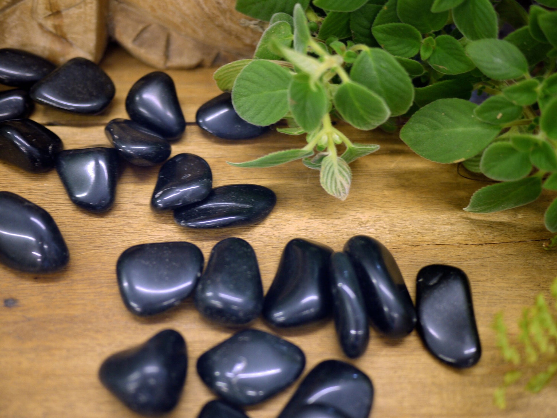 Black Obsidian Tumble Stones - Shakti