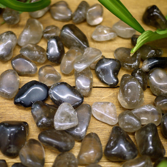 Smoky Quartz Tumble Stones - Shakti