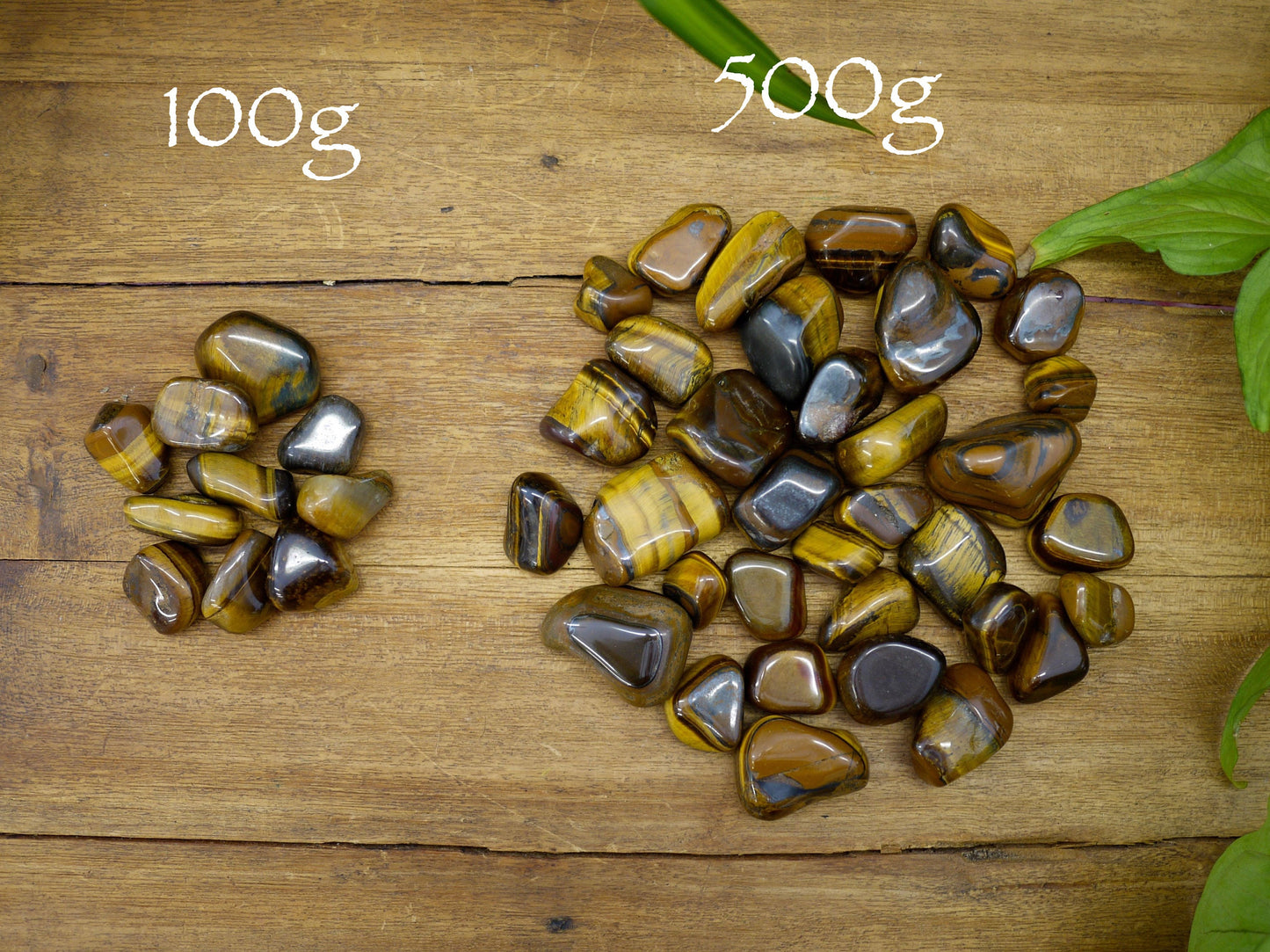 Tiger's Eye Tumble Stones - Shakti