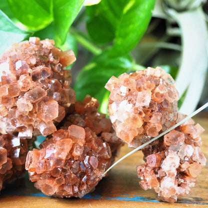 Aragonite Clusters - Shakti