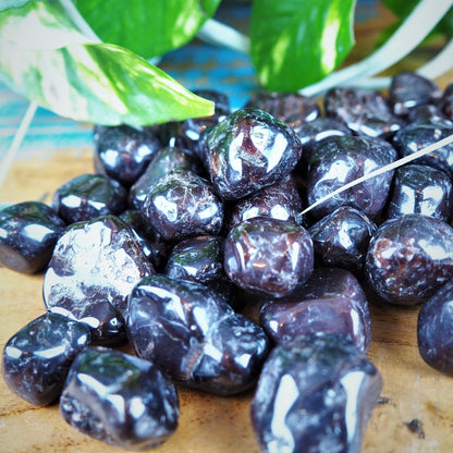 Garnet Tumble Stones - Shakti