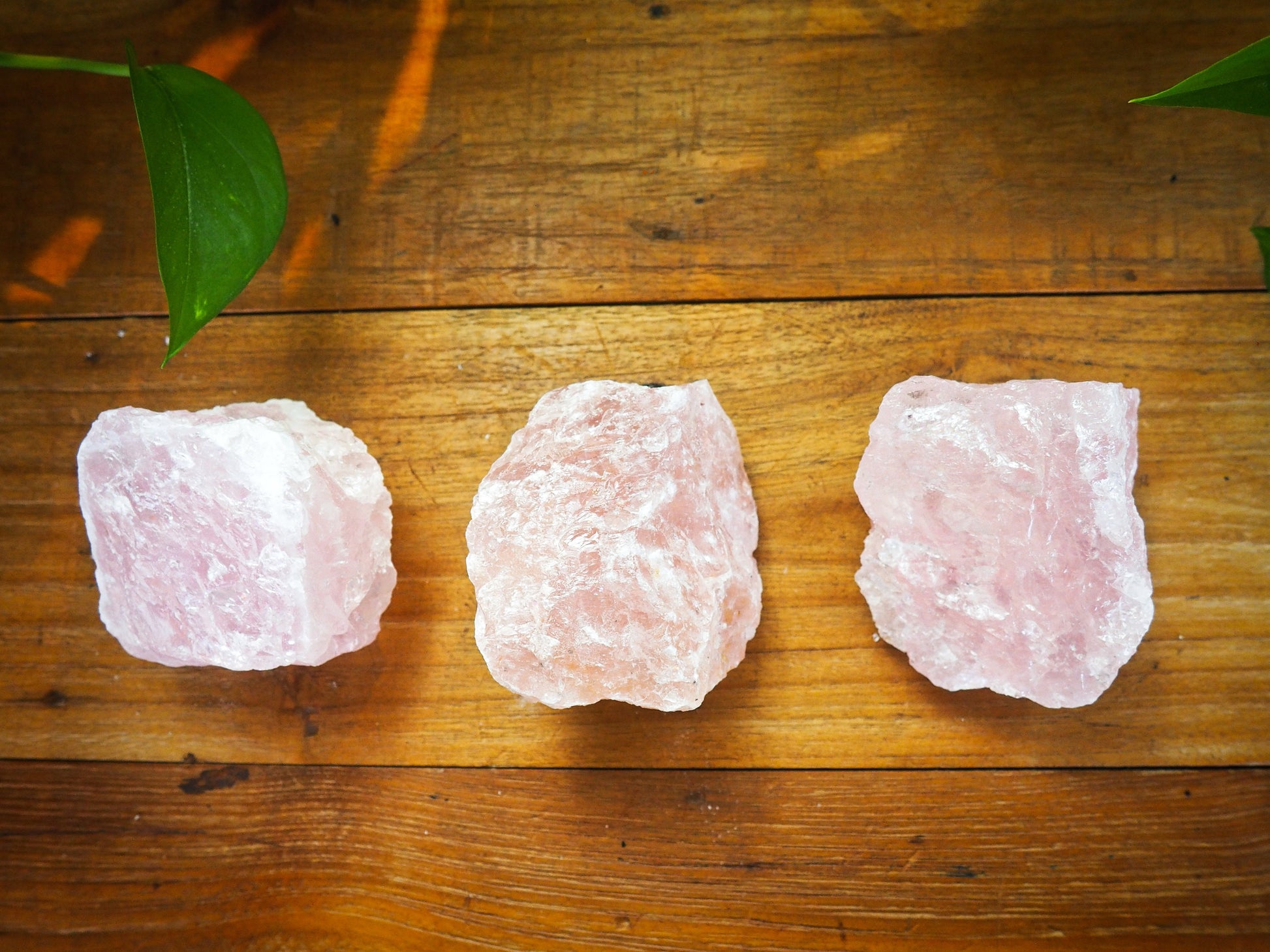 Rose Quartz Rough Chunks - Shakti