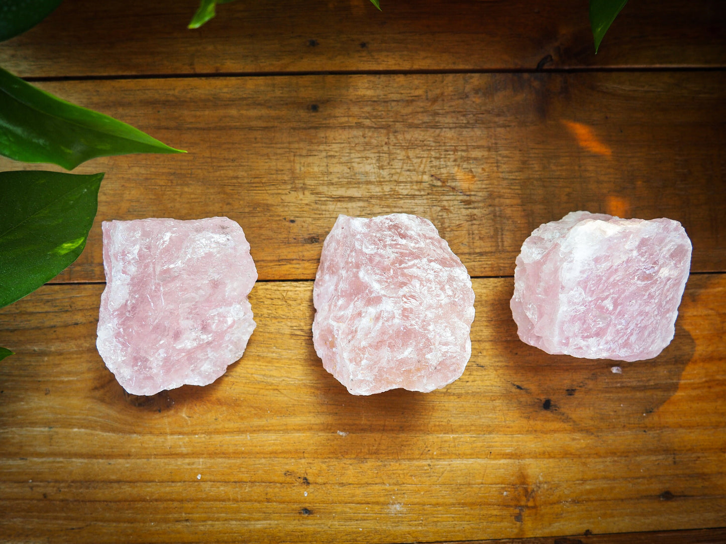 Rose Quartz Rough Chunks - Shakti