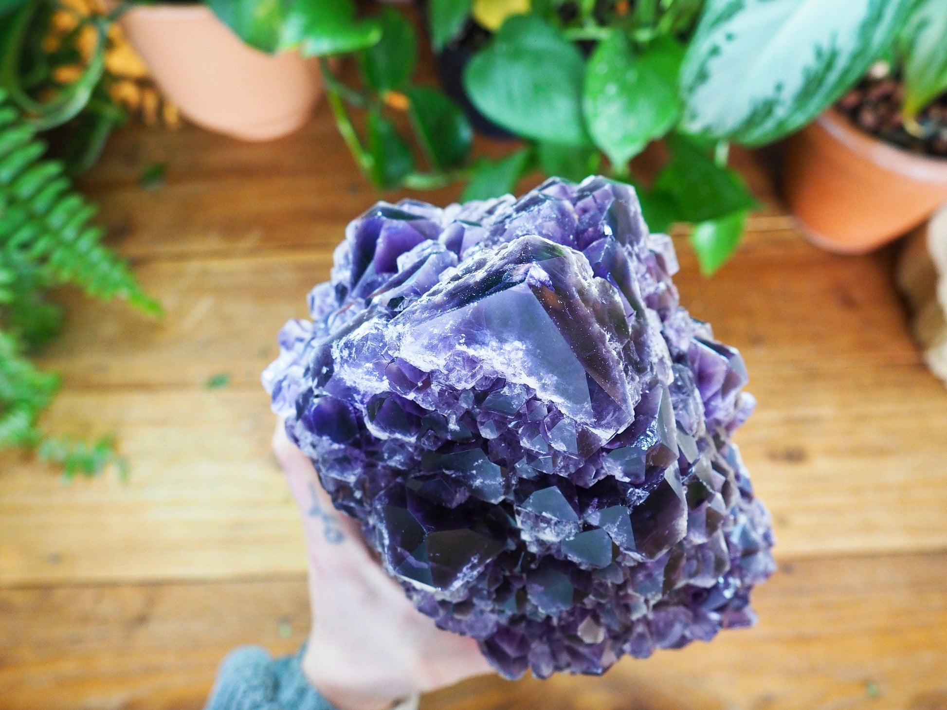 Amethyst Wands - Shakti