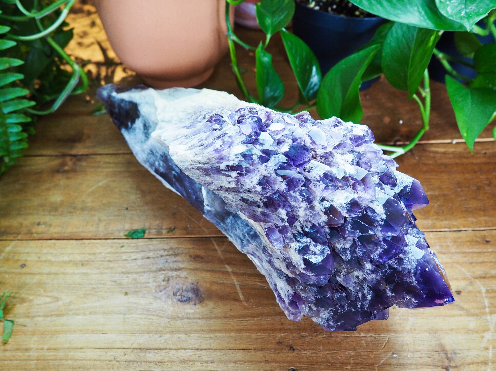 Amethyst Wands - Shakti