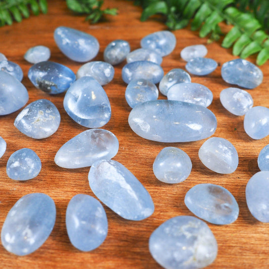 Celestite Tumble Stones - Shakti