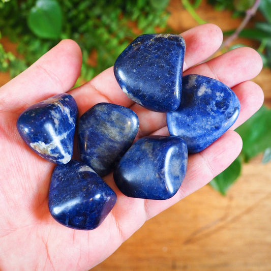 Sodalite Tumble Stones - Shakti