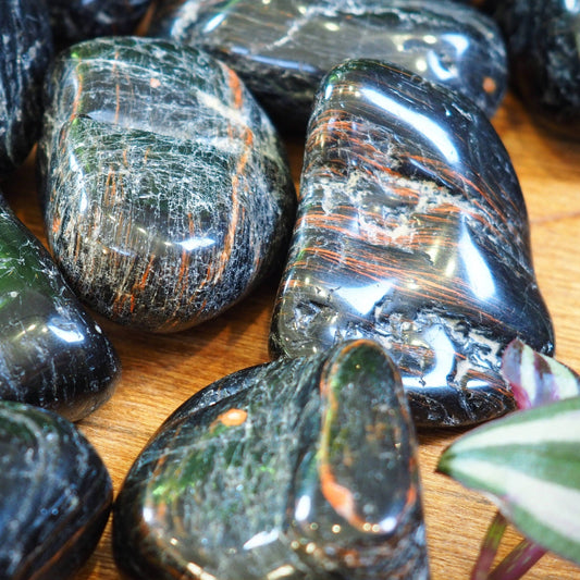 Black Tourmaline Tumble Stones - Shakti