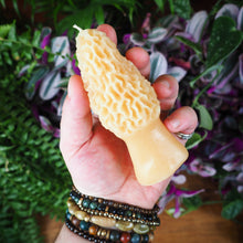 Load image into Gallery viewer, Barletta Beeswax Candle - Morel Mushroom
