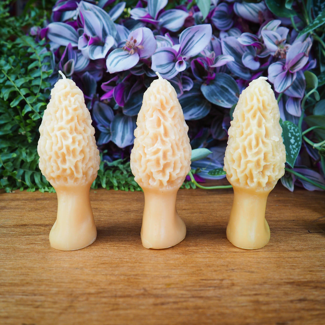 Barletta Beeswax Candle - Morel Mushroom